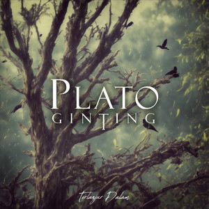 Download Lagu Plato Ginting - Terlanjur Dalam MP3