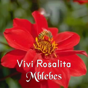 Download Lagu Vivi Rosalita - Mblebes MP3 Download Lagu Vivi Rosalita - Mblebes MP3