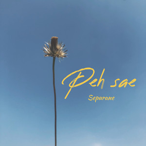 Download Lagu Peh Sae - Sepurane MP3 Download Lagu Peh Sae - Sepurane MP3