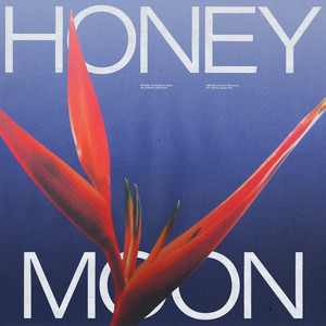 Download Lagu Johnny Stimson - Honeymoon MP3 Download Lagu Johnny Stimson - Honeymoon MP3