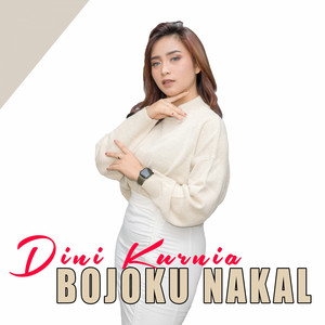 Download Lagu Dini Kurnia - Bojoku Nakal - POP Koplo MP3