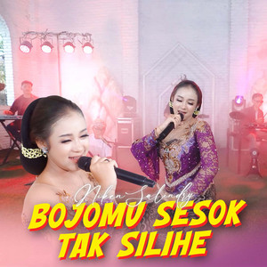 Download Lagu Niken Salindry - Bojomu Sesok Tak Silihe MP3