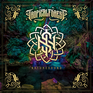 Download Lagu Tropical Forest - Celoteh Sampah MP3 Download Lagu Tropical Forest - Celoteh Sampah MP3