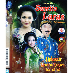 Download Lagu Iin Yuandari Puandari - Ilang Tanpo Aran MP3