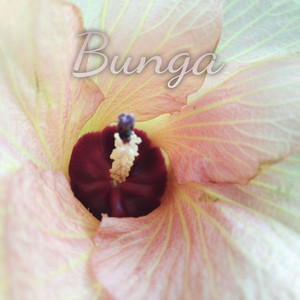 Download Lagu Kalia Siska - Benci Kusangka Sayang MP3 Download Lagu Kalia Siska - Benci Kusangka Sayang MP3