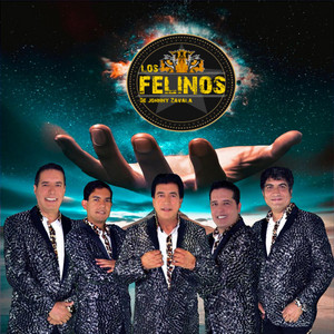 Download Lagu Los Felinos de Johnny Zavala - Amanda Baila Con La Banda MP3 Download Lagu Los Felinos de Johnny Zavala - Amanda Baila Con La Banda MP3