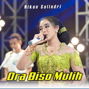 Download Lagu Niken Salindry - Ora Biso Mulih MP3 Download Lagu Niken Salindry - Ora Biso Mulih MP3