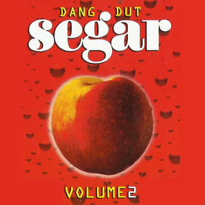 Download Lagu Melsa Sugar - Anak Dukun MP3
