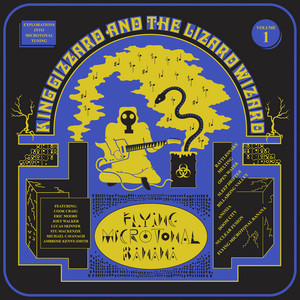 Download Lagu King Gizzard & The Lizard Wizard - Rattlesnake MP3 Download Lagu King Gizzard & The Lizard Wizard - Rattlesnake MP3