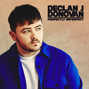 Download Lagu Declan J Donovan - Perfectly Imperfect MP3