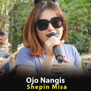 Download Lagu Shepin Misa - Ojo Nangis MP3 Download Lagu Shepin Misa - Ojo Nangis MP3