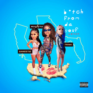 Download Lagu Mulatto, Saweetie, Trina - B*tch From Da Souf (Remix) MP3