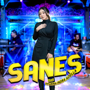 Download Lagu Difarina Indra Adella - Sanes MP3