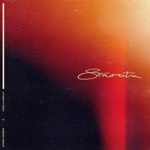 Download Lagu Shawn Mendes, Camila Cabello - Señorita MP3 Download Lagu Shawn Mendes, Camila Cabello - Señorita MP3
