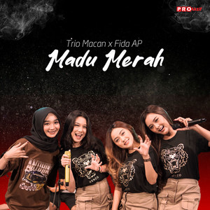 Download Lagu Trio Macan, Fida AP - Madu Merah MP3