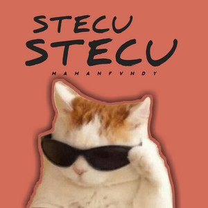 Download Lagu MAMAN FVNDY - Stecu Stecu MP3