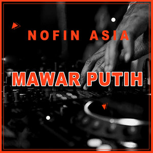Download Lagu Nofin Asia - Mawar Putih - Remix MP3 Download Lagu Nofin Asia - Mawar Putih - Remix MP3
