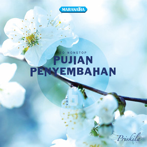 Download Lagu Priskila - Indah rencanaMu Tuhan MP3