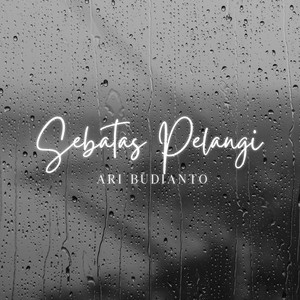 Download Lagu Ari Budianto - Sebatas Pelangi MP3 Download Lagu Ari Budianto - Sebatas Pelangi MP3