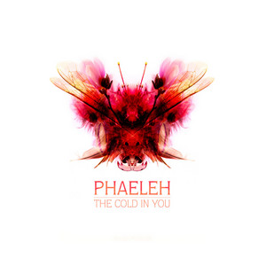 Download Lagu Phaeleh - In The Twilight MP3