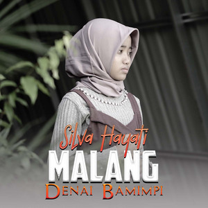 Download Lagu Silva Hayati - Malang Denai Bamimpi MP3 Download Lagu Silva Hayati - Malang Denai Bamimpi MP3