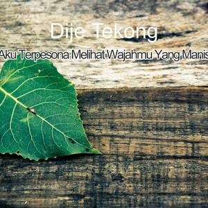 Download Lagu Dije Tekong - Terpesona Aku Terpesona Melihat Wajahmu Yang Manis MP3 Download Lagu Dije Tekong - Terpesona Aku Terpesona Melihat Wajahmu Yang Manis MP3