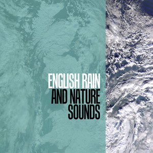 Download Lagu Forest Sounds - Forest Sounds MP3 Download Lagu Forest Sounds - Forest Sounds MP3