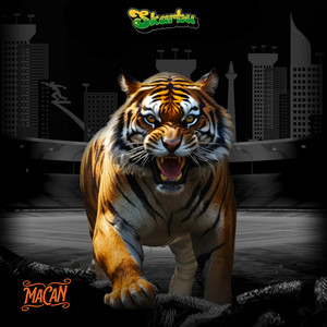 Download Lagu Skarbu - Macan MP3 Download Lagu Skarbu - Macan MP3