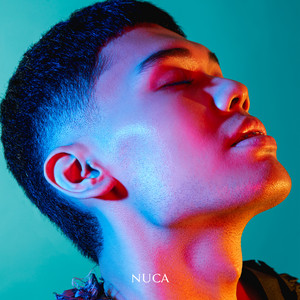 Download Lagu Nuca - Perisai MP3 Download Lagu Nuca - Perisai MP3
