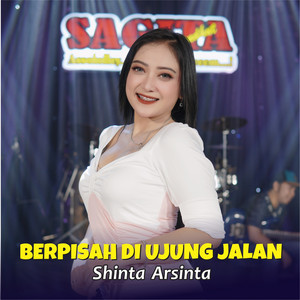 Download Lagu Shinta Arsinta - Berpisah Di Ujung Jalan MP3
