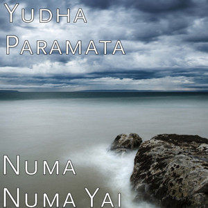 Download Lagu Yudha Paramata - Numa Numa Yai MP3 Download Lagu Yudha Paramata - Numa Numa Yai MP3