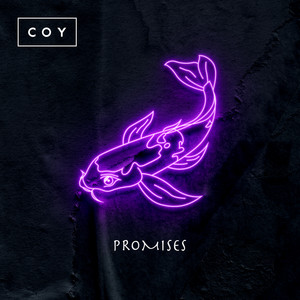 Download Lagu COY - Promises MP3 Download Lagu COY - Promises MP3