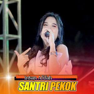Download Lagu Intan Afifah - Santri Pekok MP3 Download Lagu Intan Afifah - Santri Pekok MP3