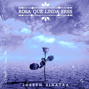 Download Lagu Joseph Sinatra - Rosa Que Linda Eres MP3 Download Lagu Joseph Sinatra - Rosa Que Linda Eres MP3