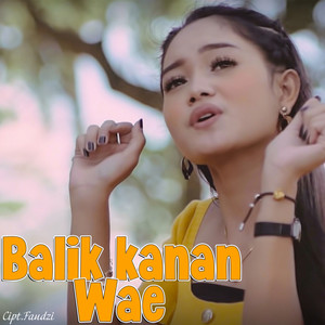 Download Lagu Safira Inema - Balik Kanan Wae MP3 Download Lagu Safira Inema - Balik Kanan Wae MP3
