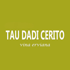 Download Lagu Vina Erviana - Tau Dadi Cerito MP3