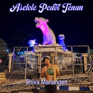 Download Lagu Shiva Marlangen - Aselole Pedot Tenan - Koplo MP3 Download Lagu Shiva Marlangen - Aselole Pedot Tenan - Koplo MP3