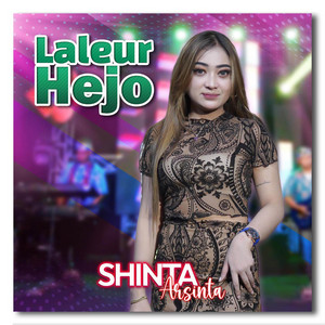 Download Lagu Shinta Arsinta - Laleur Hejo MP3