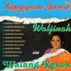 Download Lagu Waljinah - Langgam Nawolo MP3 Download Lagu Waljinah - Langgam Nawolo MP3
