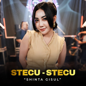 Download Lagu Shinta Gisul - Stecu Stecu MP3 Download Lagu Shinta Gisul - Stecu Stecu MP3