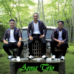 Download Lagu Arosa Trio - Dang Sarupa Au Tu Mantan Hallet Mi MP3