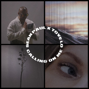 Download Lagu Sean Paul, Tove Lo - Calling On Me MP3
