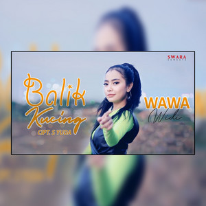 Download Lagu Wawa Widi - Balik Kucing MP3 Download Lagu Wawa Widi - Balik Kucing MP3