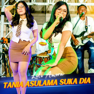 Download Lagu LILI AMORA - Tania Asulama Suka Dia MP3