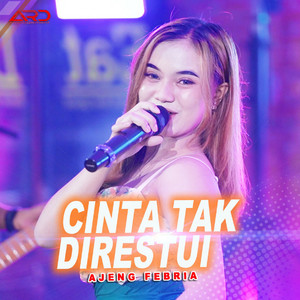 Download Lagu Ajeng Febria - Cinta Tak Di Restui MP3 Download Lagu Ajeng Febria - Cinta Tak Di Restui MP3