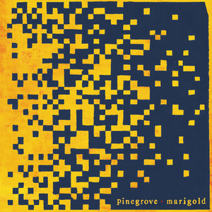 Download Lagu Pinegrove - The Alarmist MP3 Download Lagu Pinegrove - The Alarmist MP3