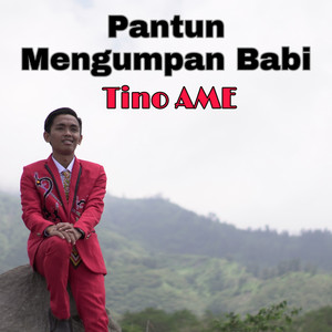 Download Lagu Tino Ame - Pantun Mengumpan Babi MP3 Download Lagu Tino Ame - Pantun Mengumpan Babi MP3