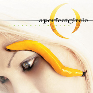 Download Lagu A Perfect Circle - Weak And Powerless MP3 Download Lagu A Perfect Circle - Weak And Powerless MP3