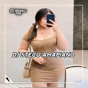 Download Lagu DJ Manikci Team - DJ STECU STECU STELAN CUEK BARU MALU MP3