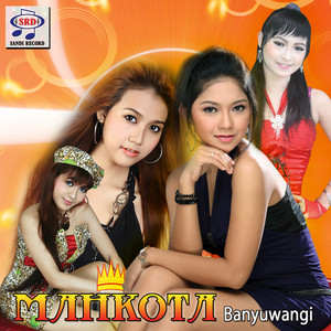 Download Lagu Erwin Mareta - Mung Riko MP3